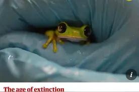 英国宠物青蛙身上首次发现蛙类致命病菌！尚不清楚传播途径图片