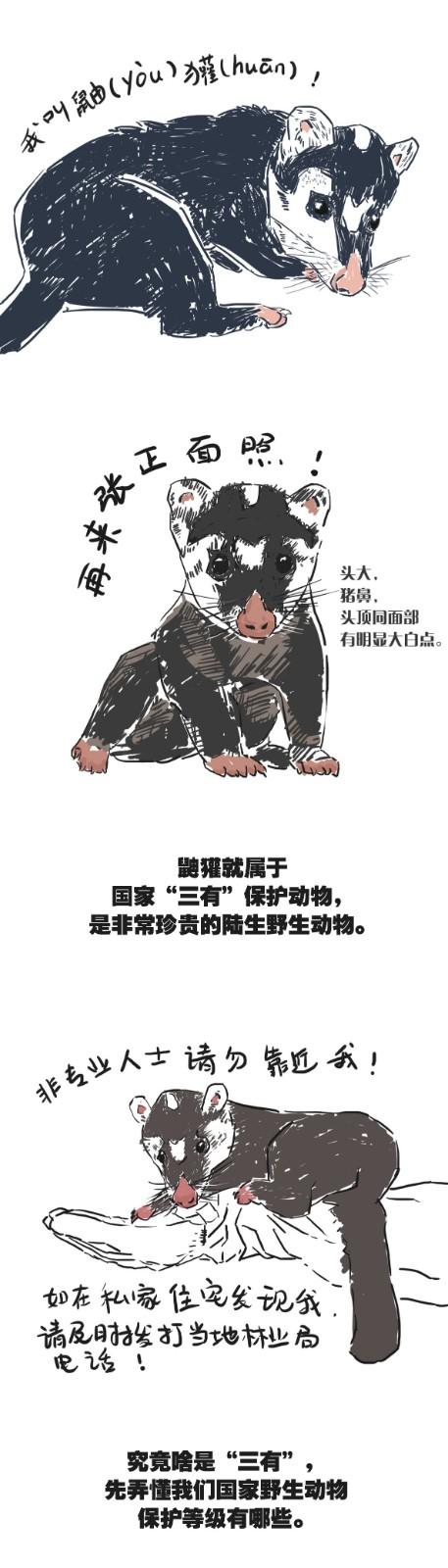 2025年10月1日 第57页