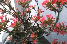 老年人“六戒”不可忽视，有望健康高寿图片
