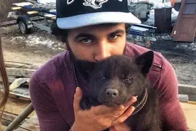 小黑狗主动上门求收养，主人养了段时间后发现不对，兽医建议送走图片