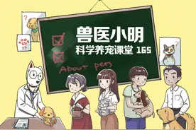 狗狗颜值因泪痕大打折扣，那么狗主子出现泪痕的原因有哪些呢图片