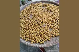 晒黄皮干要焯水吗？教你正确方法，晒2天就能吃，快捷又省时图片