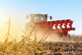 秸秆还田那么一大坑，农民再次上了专家的当，弊端明显，谁来负责图片