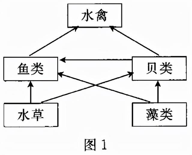 2022届高三开学摸底考试生物试卷（河北卷）