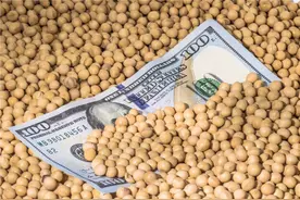 本世纪惊心动魄的粮食战争，我国是如何阻击国外四大粮商的？图片