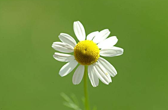 李佳琦带火的面膜，价格便宜被很多人忽略，提亮保湿效果想不到