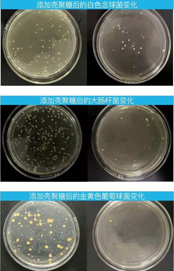 10000个透气孔把汗液治得服服帖帖？这款冰肤抗菌T恤定价真国货