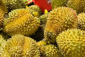 水果店推荐买开大口榴莲，切记别被忽悠，教你5招，专挑母榴莲图片