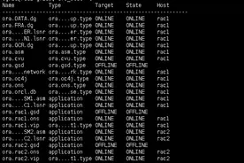 手撸一个Oracle Rac（3）图片