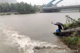 安徽六安：水库开闸泄洪，鱼儿顺流而下，市民雨中垂钓图片