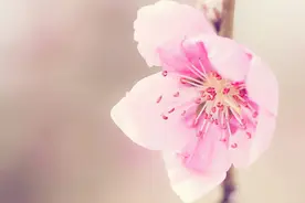 真正高情商的女人，不会主动问男人这些问题，没什么意义图片