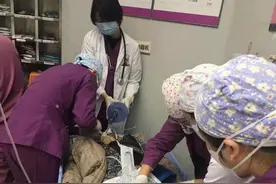 一走进急诊大厅突然倒地，抢救+开通血管一气呵成，70岁心梗阿婆获救图片