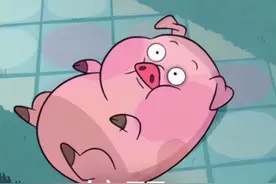 电视后面那排接口，你认得几个？图片