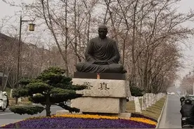 扬州樱花大道盛花期来临图片
