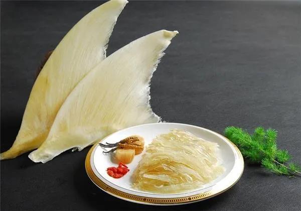 干鱼翅怎么泡发视频 2026年干鱼翅怎么泡发视频讲解