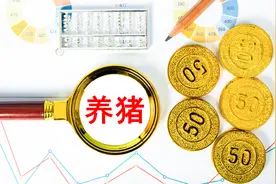 大学生养猪怎么了？比在传统就业模式中内卷好图片