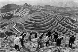 被时代遗忘了的生产队长们图片