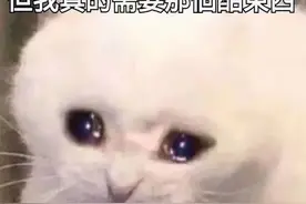 什么？Ipad也能建模了？探索一下建模App图片