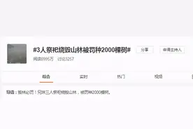 祭祀毁林，罚种2000棵树！图片