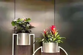 办公室绿植租赁区域方案图片
