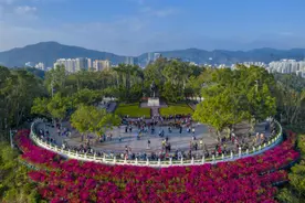 穿梭山顶广场，回望奇迹之路！来莲花山公园，重温“春天的故事”图片