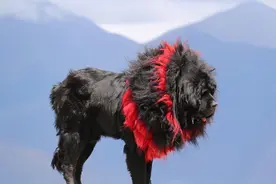 西藏很美，但禁忌很多，请牢记图片