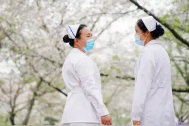 春暖花开 “樱”你而来图片