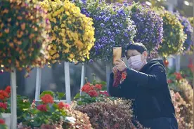 合肥植物园今天开园 郁金香成为摄影爱好者的“最佳模特”图片
