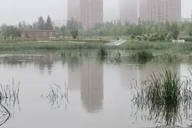 一个地方叫永春镇，有一条河叫永春河，正阔步走进长春城市的中央图片