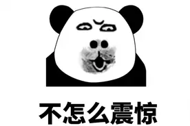 股神林园可能是穿越者图片