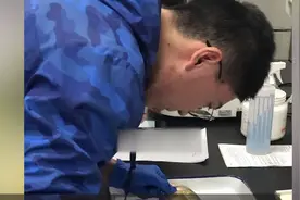 宁波渔船意外捕获1000多斤野生大黄鱼 正宗吗？专家买4条去测基因视频封面