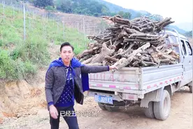 小叔要结婚了，农村小伙拉这么大1车柴火，这是要烧几天几夜啊？视频封面