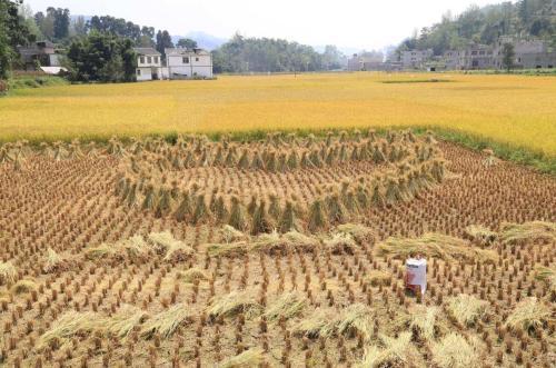 稻草人（童话故事）
