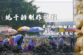 今天去晨洲沥源蚝业，带你们看看蚝干是怎么制作的图片