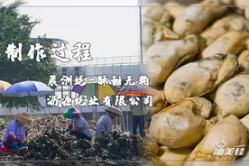 今天去晨洲沥源蚝业，带你们看看蚝干是怎么制作的图片