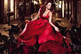 佩内洛普·克鲁兹的阴暗面 三起三落十年一剑 午夜玫瑰的绽放图片