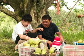 江苏搬“土地流转”上区块链 半月谈：“上链”成农村新选择图片