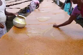 印度芒果干制作过程，隔着屏幕都有味道，看完你还想吃吗图片