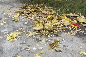 货车直角转弯车速快 侧翻造成驾驶员受伤图片