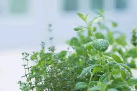 广西教师缺口这么大，可教师工资待遇又这么低，再循环就是恶性了图片