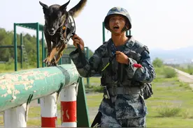 退役老兵与军犬并肩作战的故事，至今难忘！图片