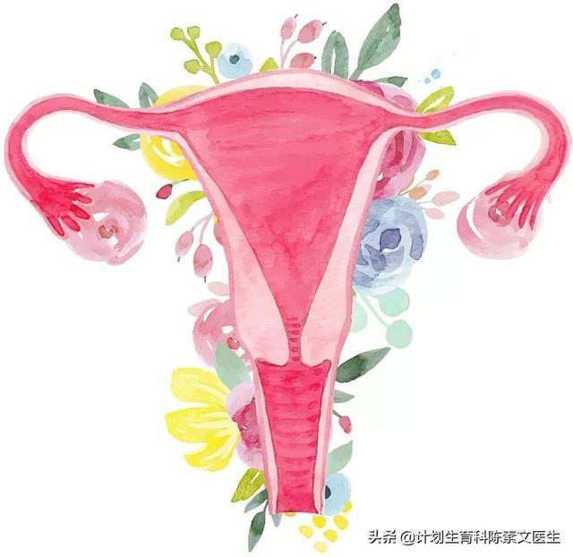 10涓棰堢檶鐤嫍椤荤煡锛屽紕娓?HPV 鏄粈涔堝啀鎵撲笉杩燂紒锛堜笅锛? onerror=