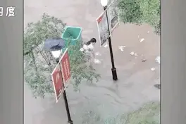积水中小女孩的这个举动，上了热搜！图片