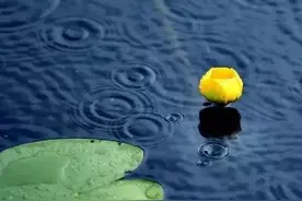十首听雨诗词：雨声淅淅，你在思念谁？图片