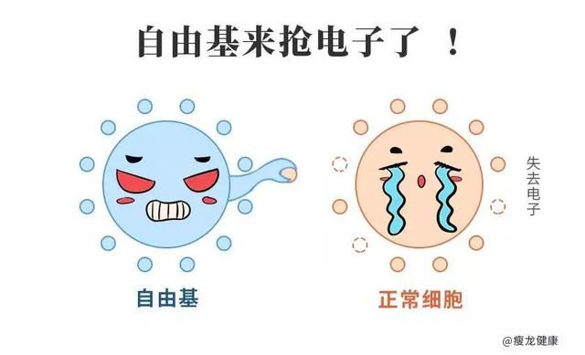 什么是酮体？我一直生酮，为什么酮体越来越低了？