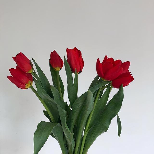 朋友圈很精美的早安句子,经典入心,百看不厌