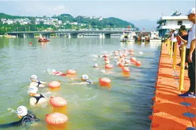 全省280余名游泳健儿横渡嘉陵江图片