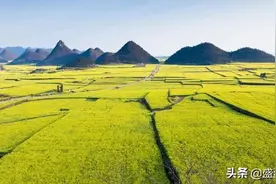 动迁律师答疑：土地征收和土地征用仅一字之差，却大不相同？图片