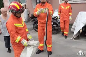 近2米长黑蛇，闯入居民家...图片