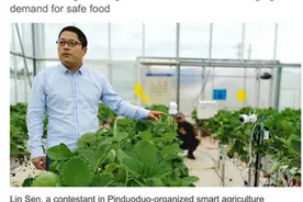 日媒关注！中国草莓人机大战结果已出，网友：农业大利好来了图片